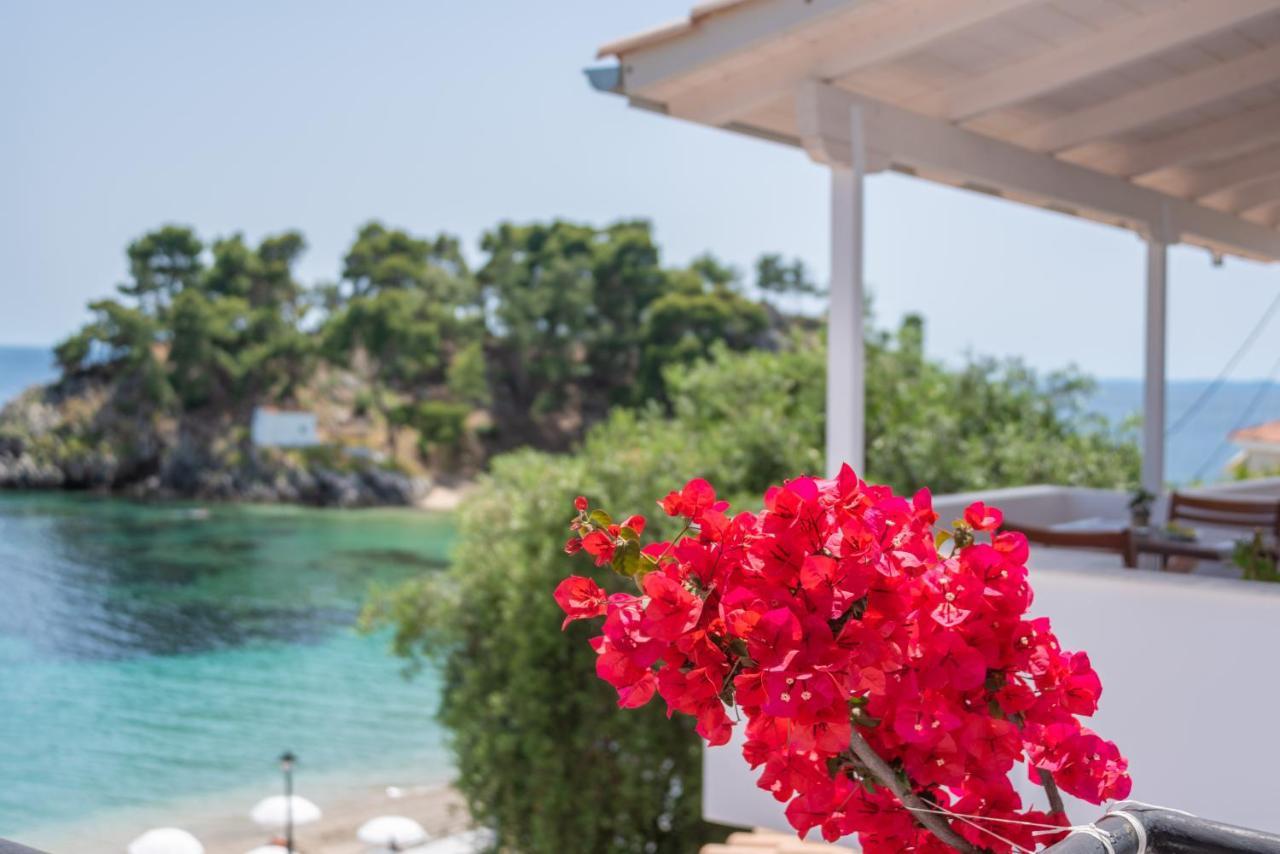 Krioneri Beach Studios Parga Exterior foto